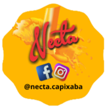Necta Rio