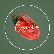 Cajuália