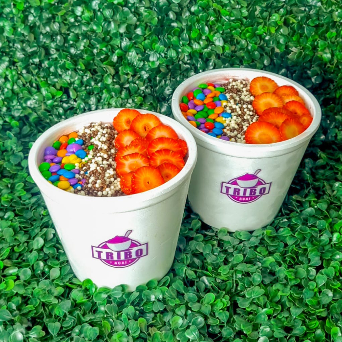 2X AÇAÍ DE 1L IGUAL