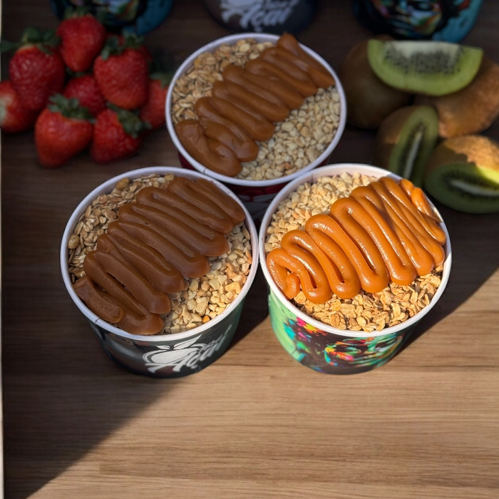 3X AÇAI IGUAIS 500ML