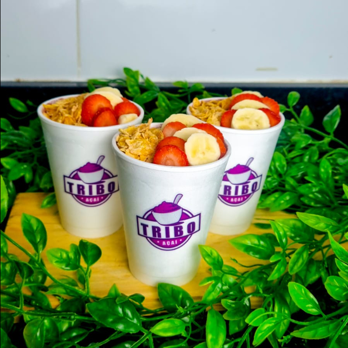3X AÇAÍ DE 300ML IGUAIS
