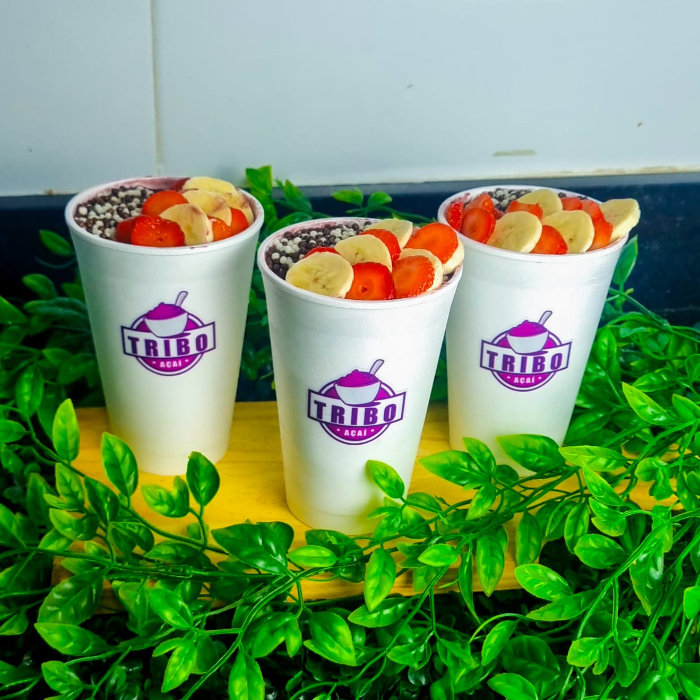 3X AÇAÍ DE 500ML IGUAIS