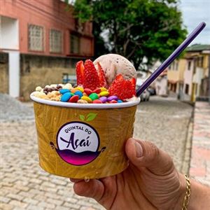 AÇAÍ ZERO 300ML