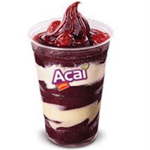 AÇAÍ PREMIUM 500ML