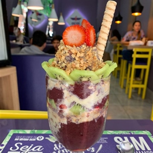 AÇAÍ PREMIUM 500ML
