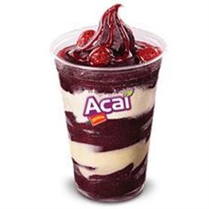 AÇAÍ ZERO AÇÚCAR 1 LITRO