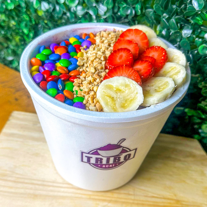 AÇAÍ 1L TRADICIONAL
