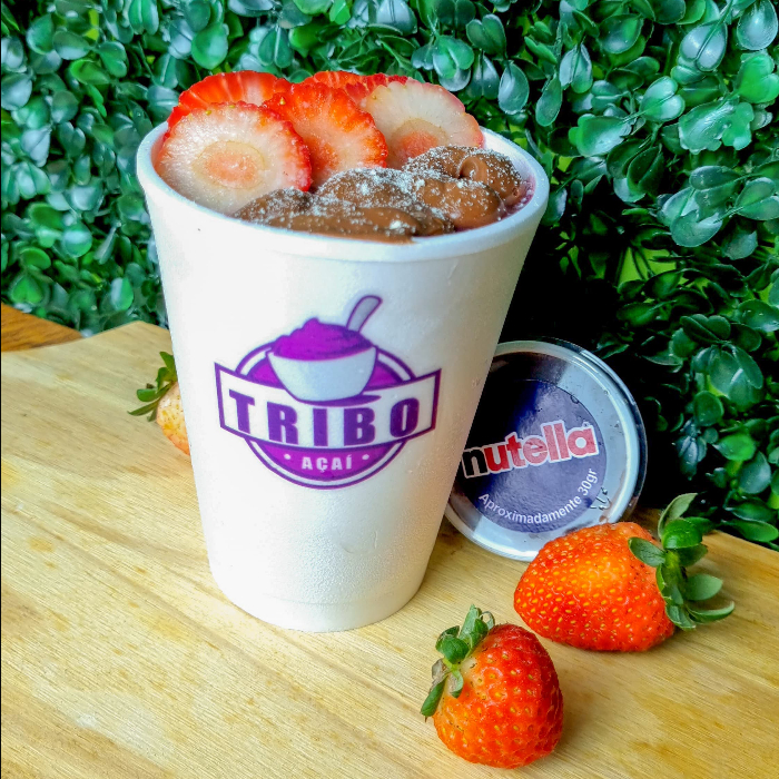 AÇAÍ 300ML TRADICIONAL