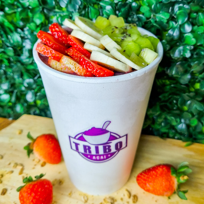 AÇAÍ 500ML TRADICIONAL