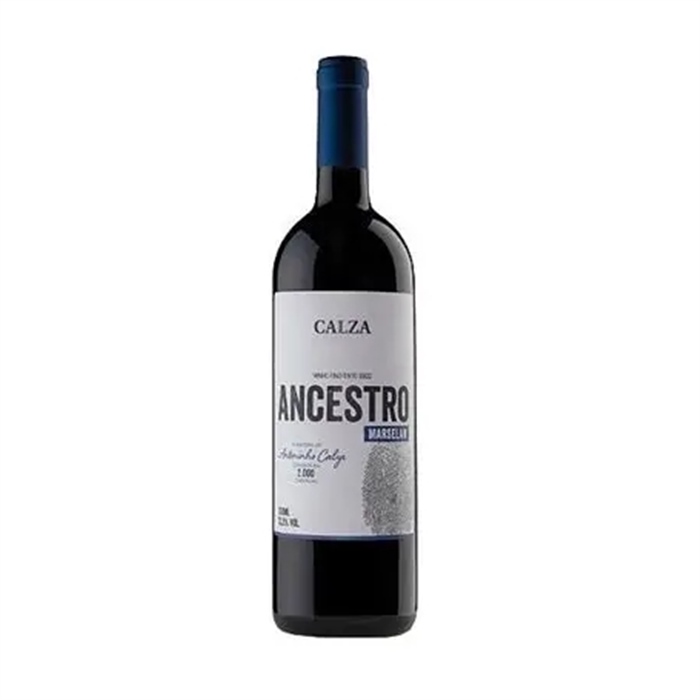 CALZA - ANCESTRO MARSELAN 2021