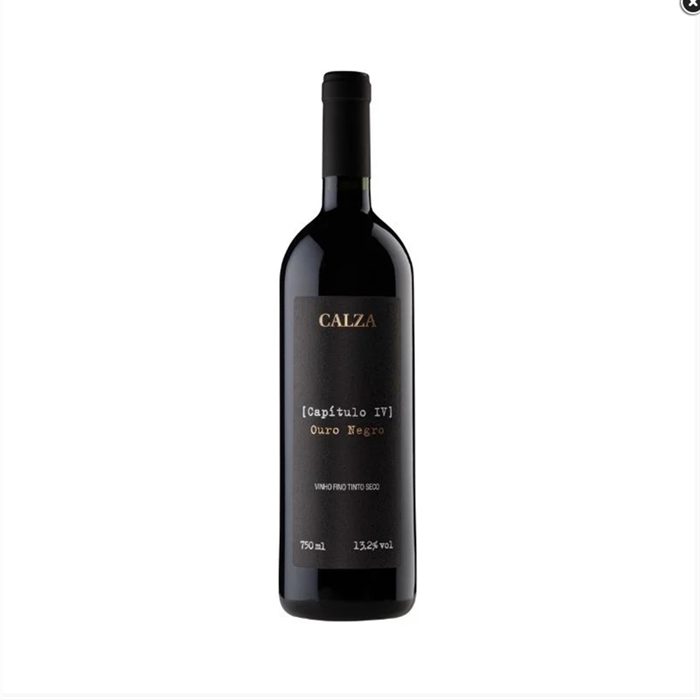 CALZA - CAPÍTULO IV 2020