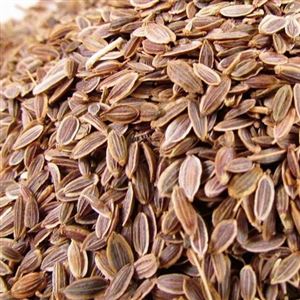 ENDRO SEMENTE 100g (Cód 1180)
