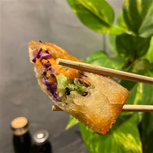 HARUMAKI DE LEGUMES