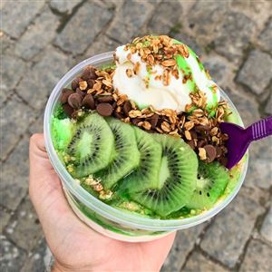IOGURTE GREGO 300ML