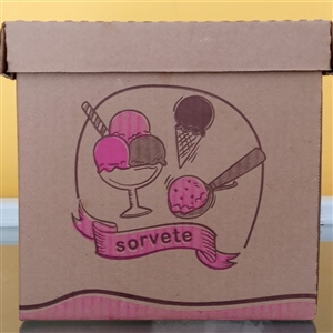 SORVETES CAIXA DE 5 LITROS