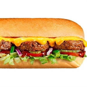 Sub Veg