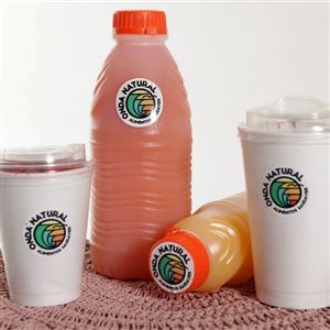 SUCO NATURAL DA FRUTA 100% NATURAL