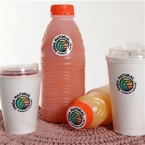 SUCO NATURAL DE POLPA 100% NATURAL