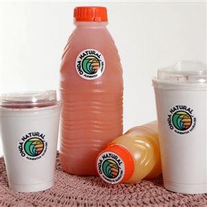 SUCO NATURAL DE POLPA 100% NATURAL COM LEITE - 1L