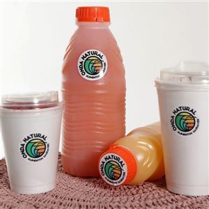 SUCO NATURAL DE POLPA 100% NATURAL COM LEITE
