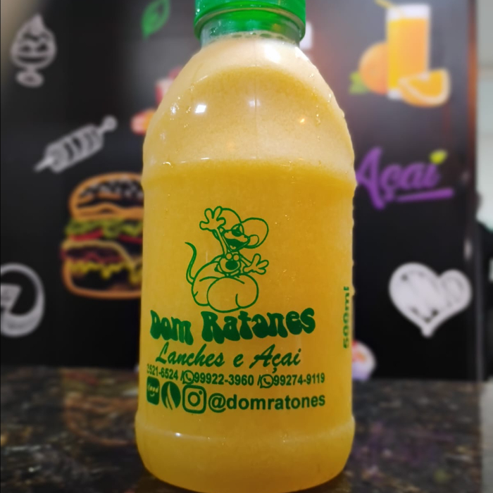 SUCOS DE POLPAS 500ML