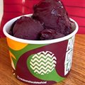 Açaí Puro (Sem complemento, apenas o açaí)