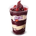 AÇAÍ ZERO AÇÚCAR 1 LITRO