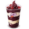 AÇAÍ ZERO AÇÚCAR 350ML