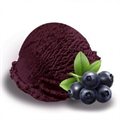 AÇAÍ ZERO ADIÇÃO DE AÇÚCARES