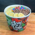 AÇAI 1 LITRO