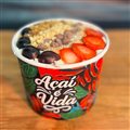 AÇAI 1 LITRO