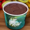 AÇAÍ PURO 500 ML