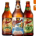 CERVEJAS