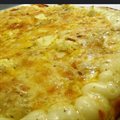 CINCO QUEIJOS (ESPECIAL)