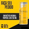 ENERGÉTICO RED BULL TROPICAL LATA