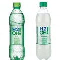 H2O