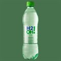 H2O