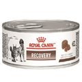 ROYAL CANIN RECOVERY 195 GRS - PATE