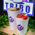 SORVETE 300ML