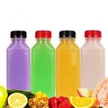 SUCO GARRAFA 500ML