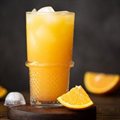 SUCO NATURAL 300ML