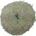 TAPIOCA